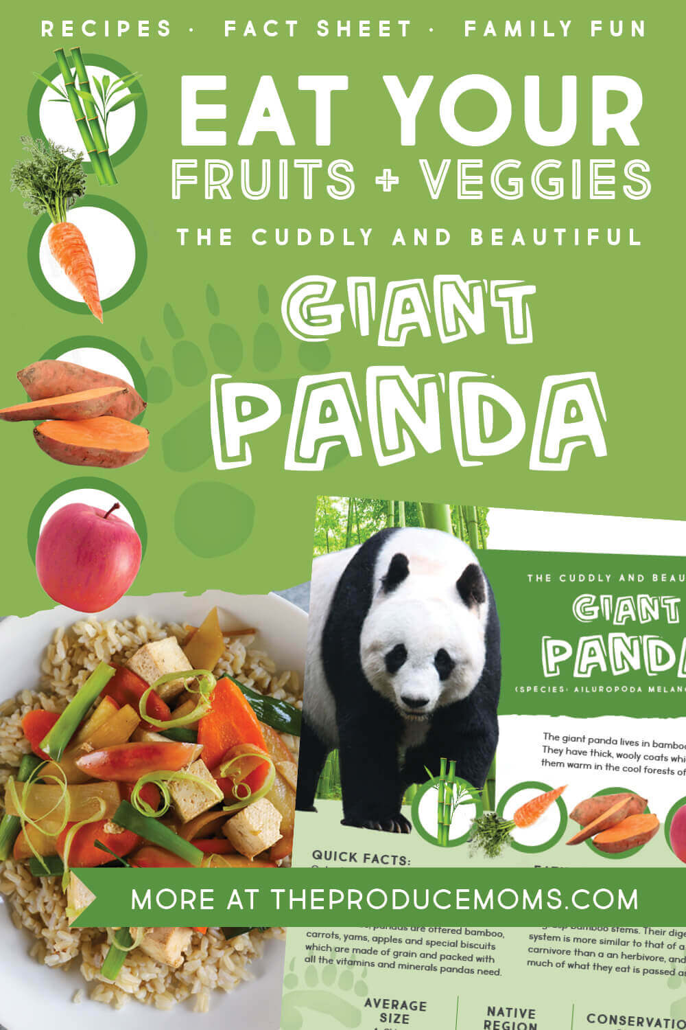 Eat Like an Animal: Giant Panda Pinterest Card