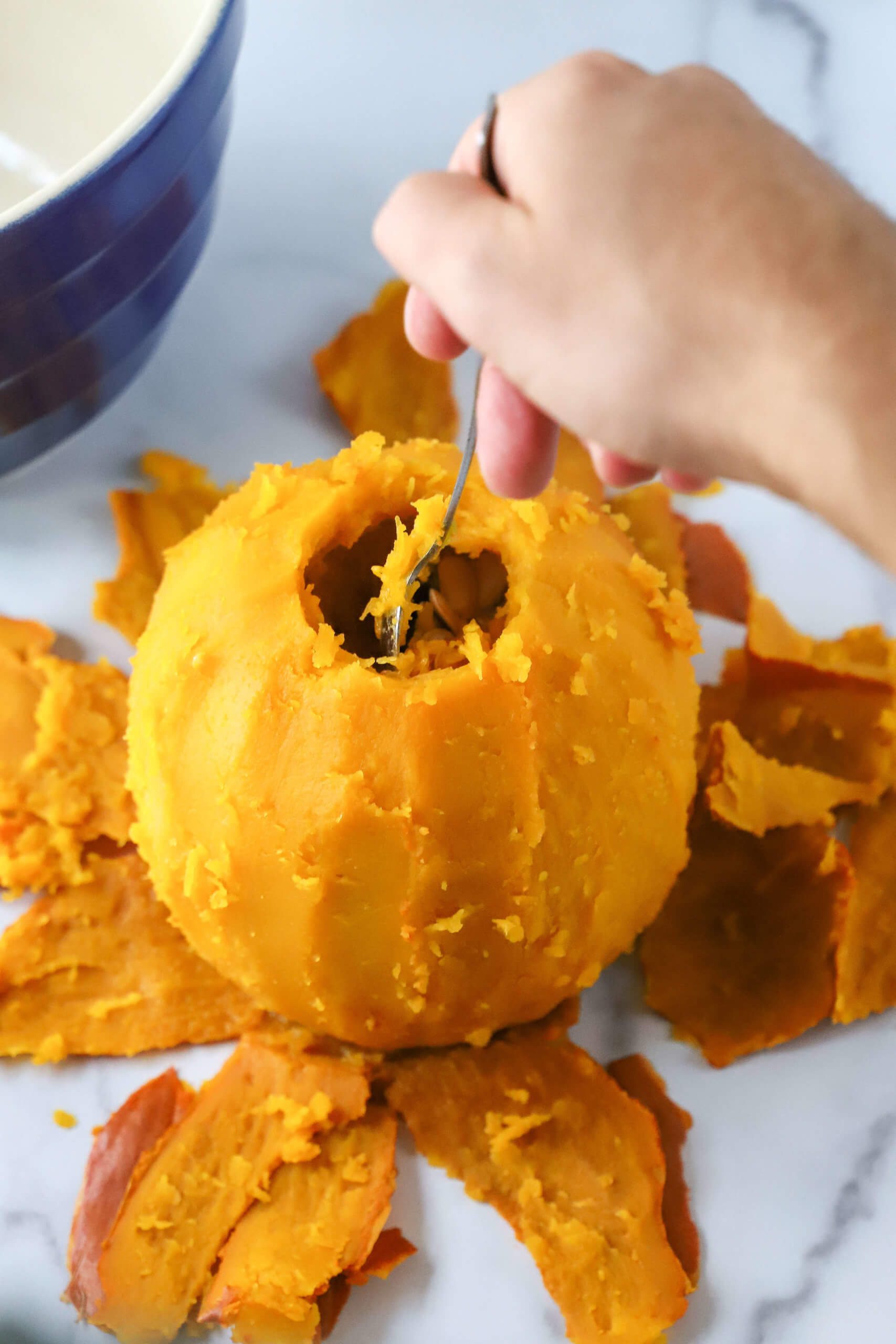 Instant Pot Pumpkin Puree