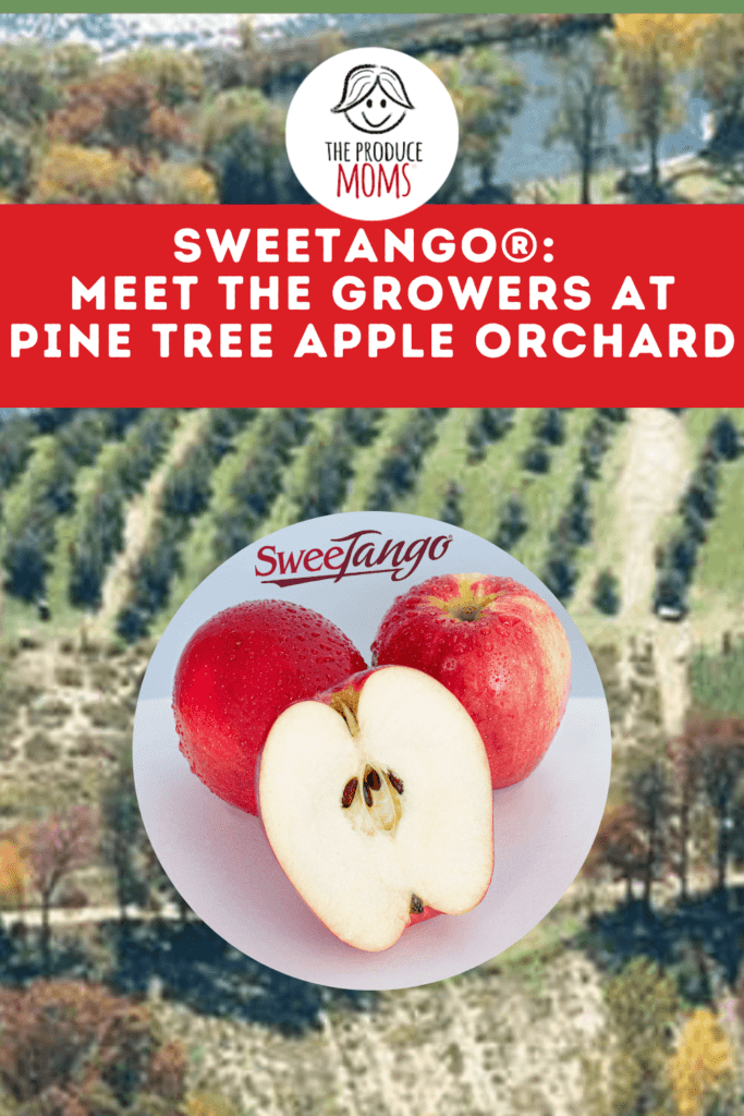 What is a SweeTango Apple Like? - Eat Like No One Else