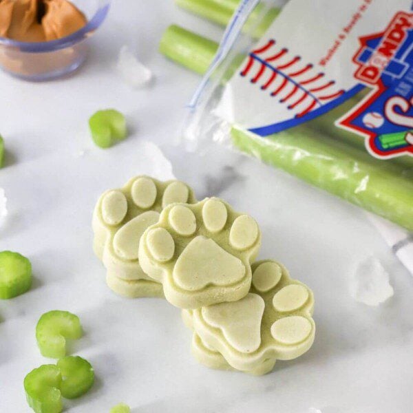 Celery and Peanut Butter Pupsicles The Produce Moms