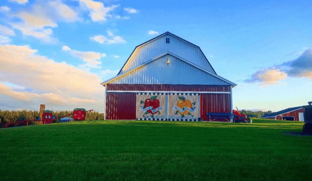 The best apples are grown on Michigan farms