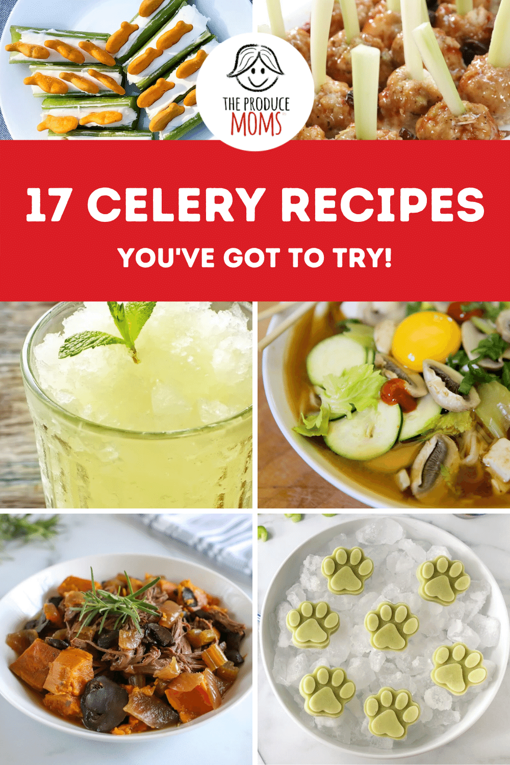 Must Try Celery Recipes