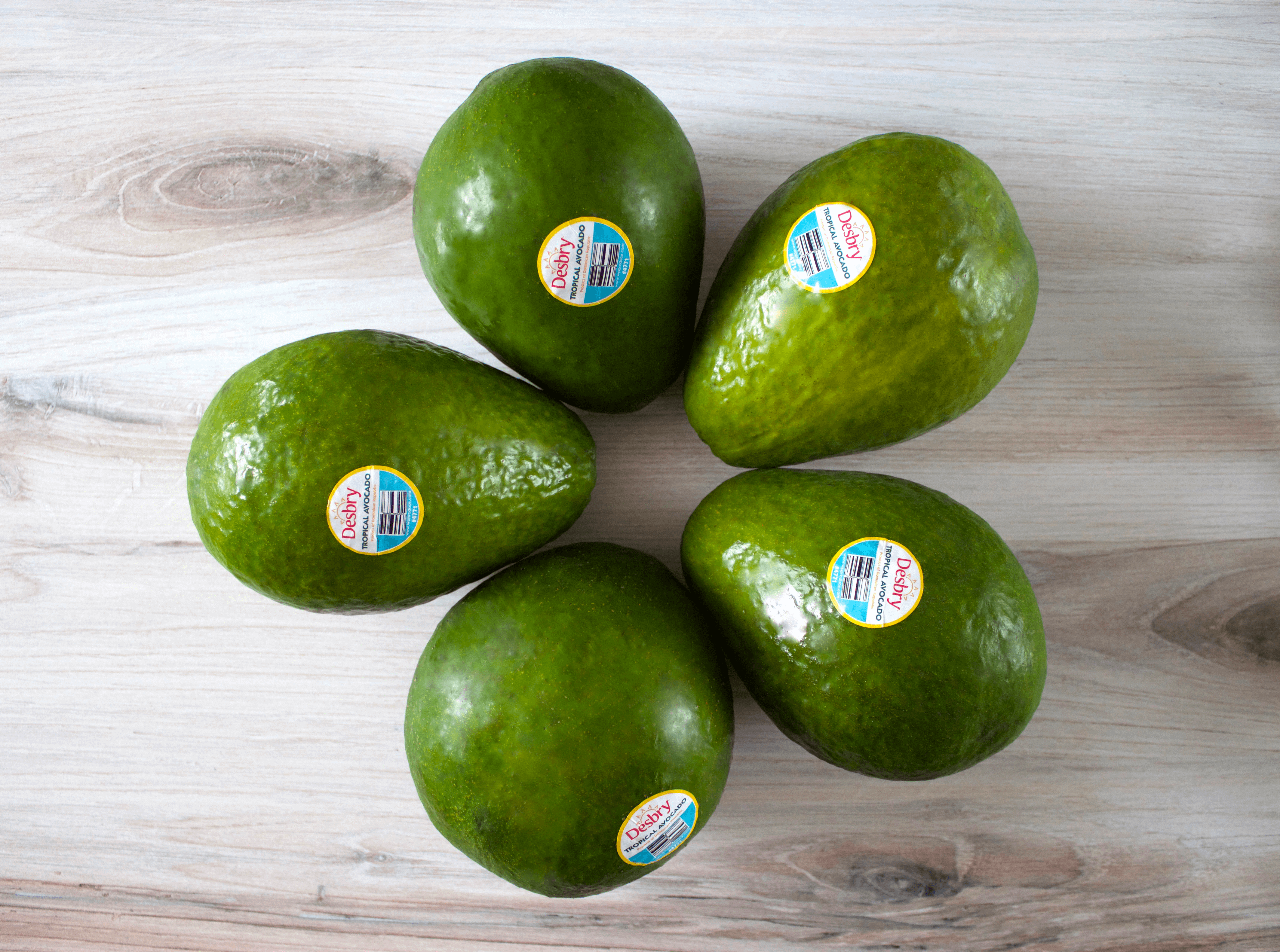 【avocado先生】 Ask the Produce Expert: Tropical Avocados – The Avocado Craze Gets
