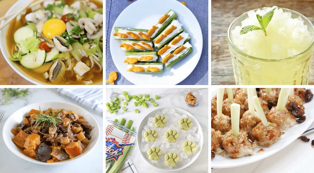 Celery Recipes Featured Image