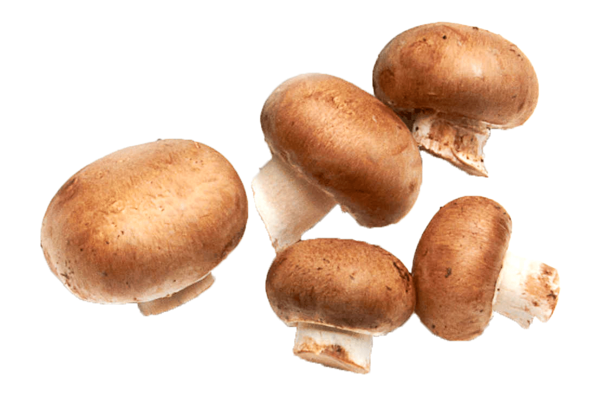 Baby Bella Mushrooms Photo