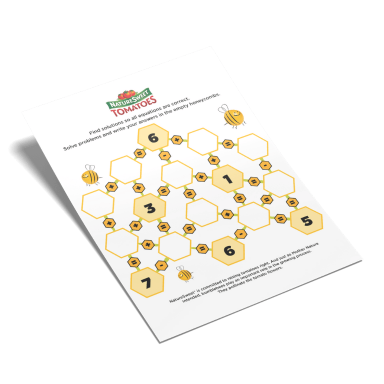 NatureSweet Bee Math 2 Activity Sheet