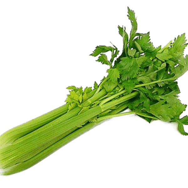 Celery