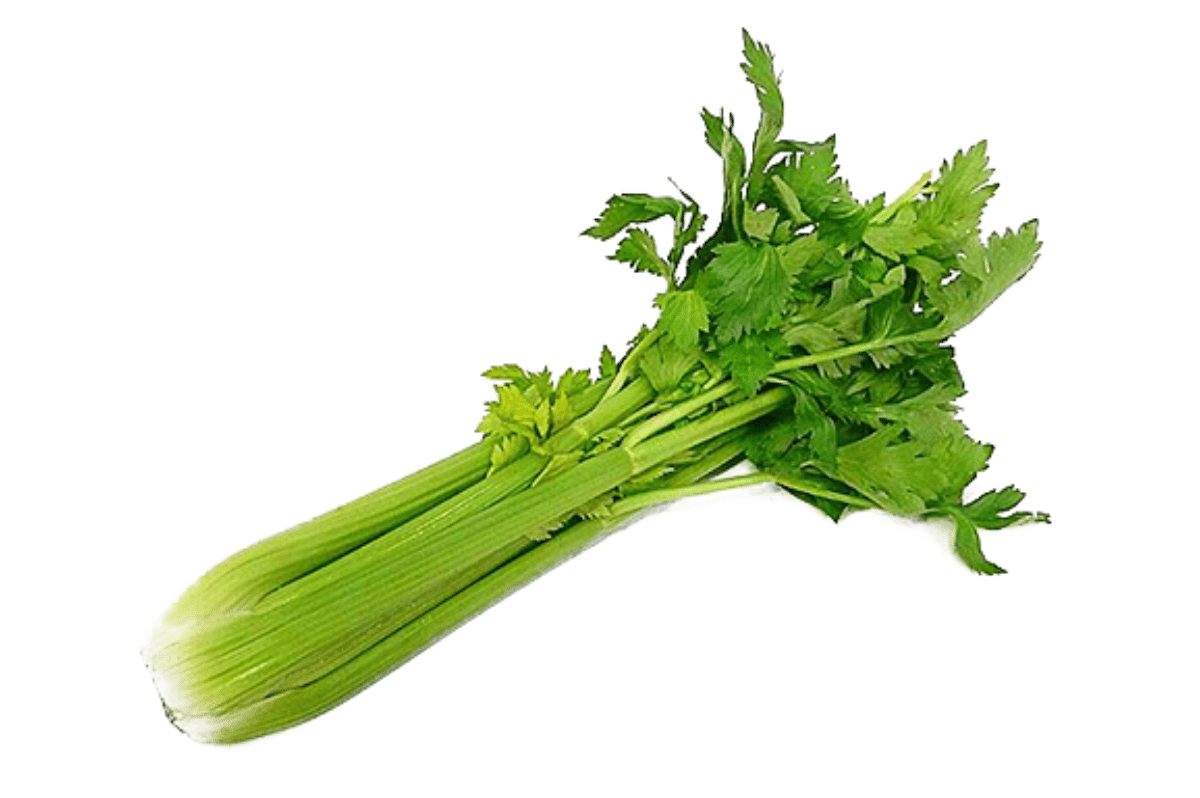 Celery Photo