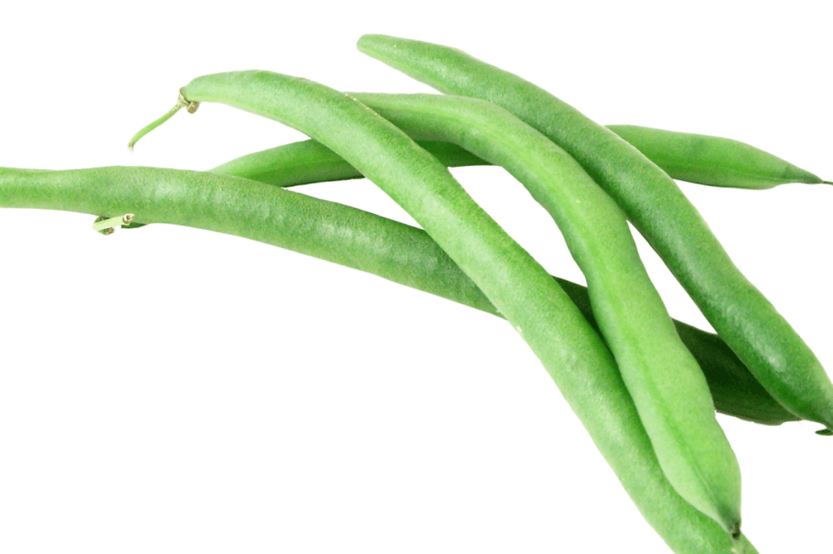 Green Beans Photo