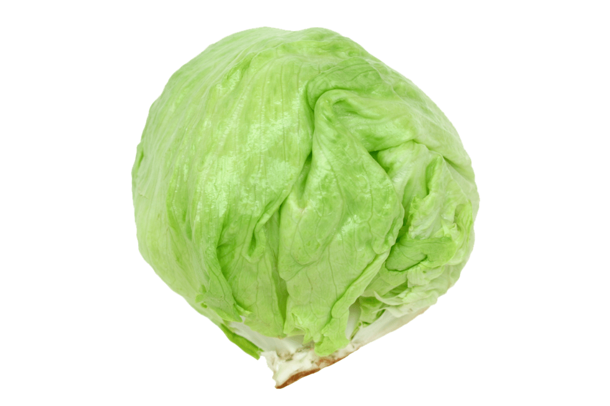 Iceberg Lettuce Photo