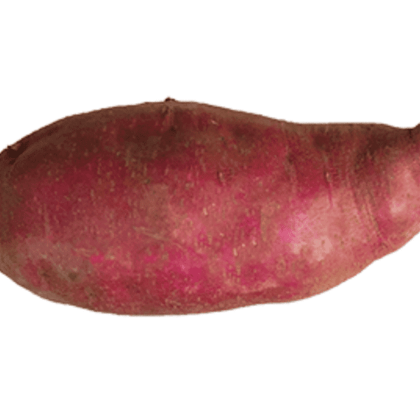 Sweet Potato