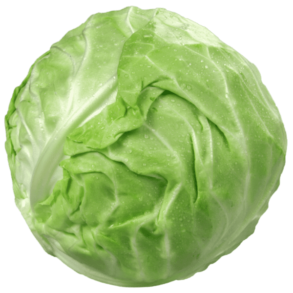 Green cabbage