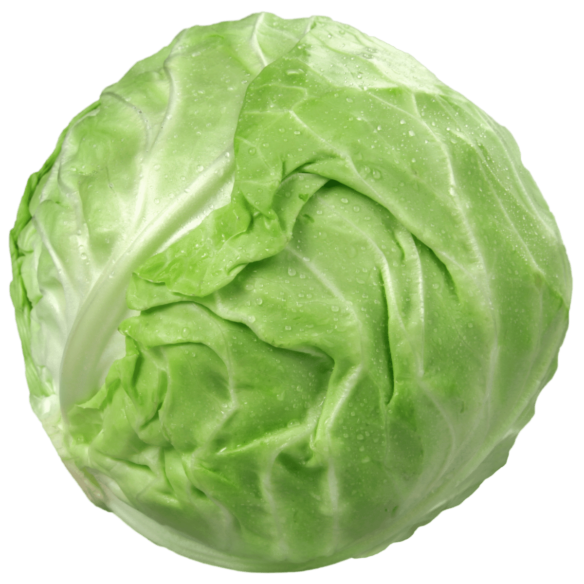 Green Cabbage Photo