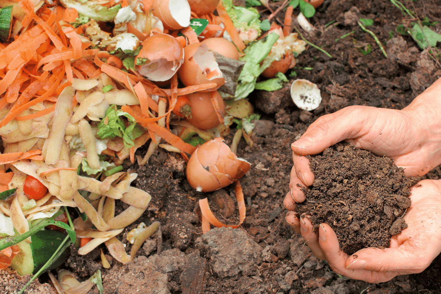 What does compostability mean?