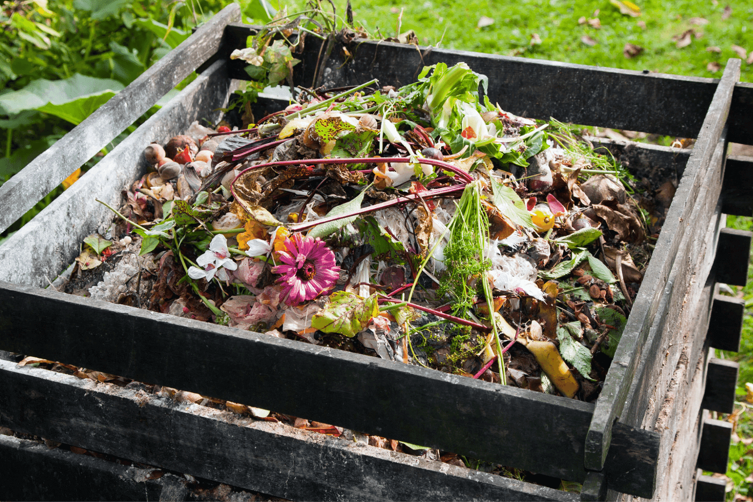 How can I start composting?