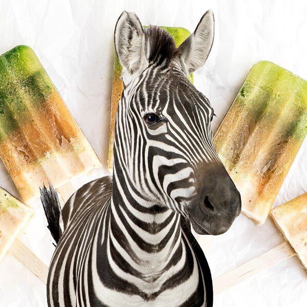 Eat Like a Zebra Banner Image