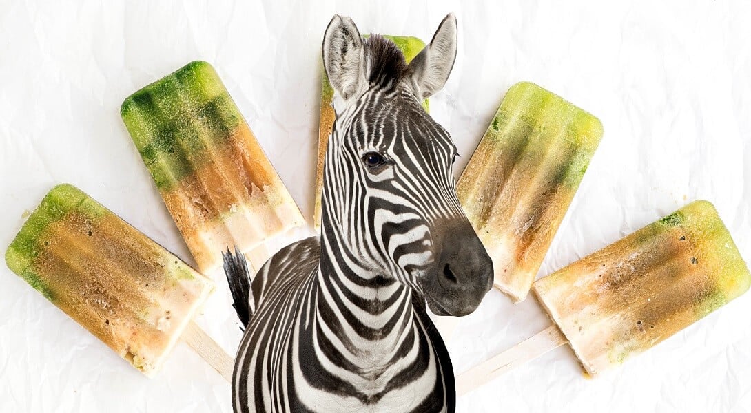 Eat Like a Zebra Banner Image