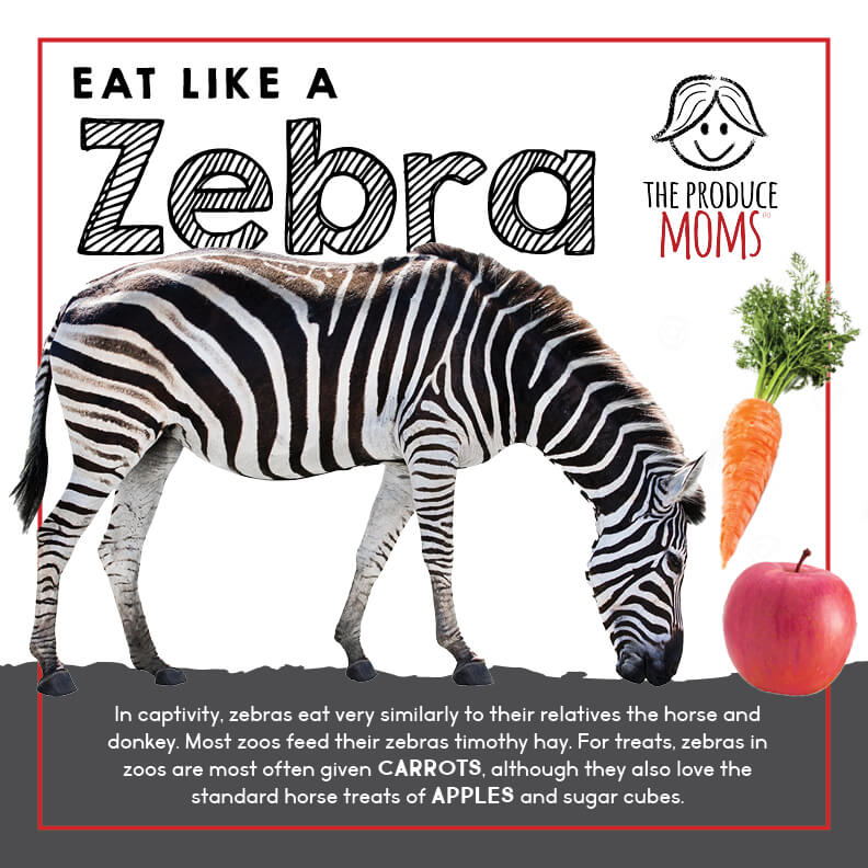 How to eat like a zebra