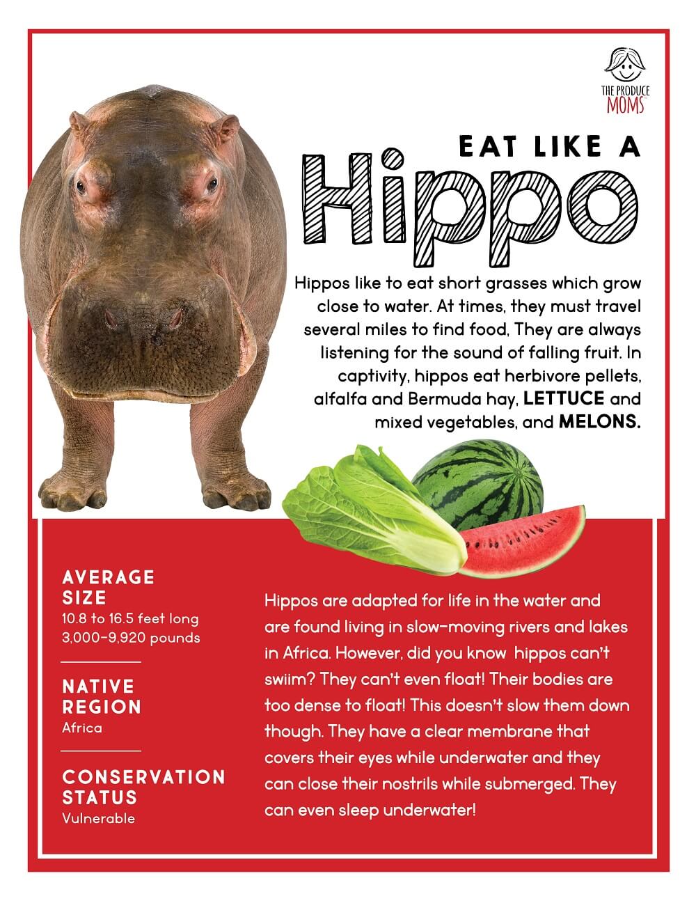 Eat Like a Hippo Fact Sheet