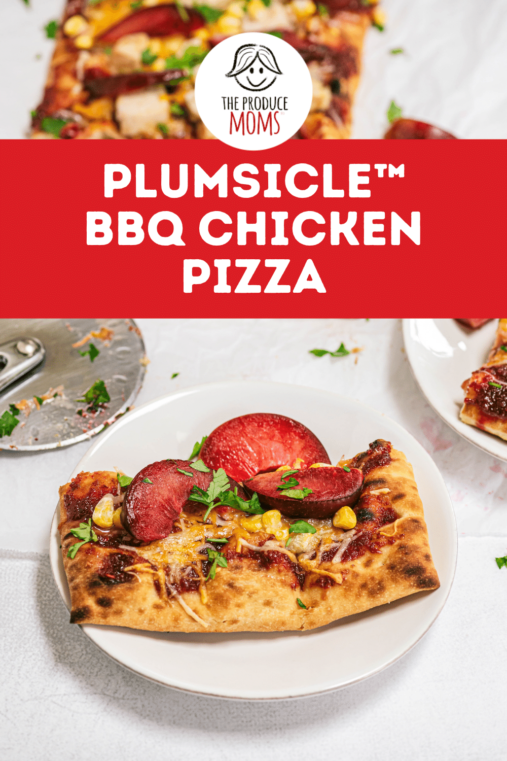 Plumsicle BBQ Chicken Pizza Pin