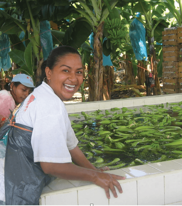 Growing tasty bananas