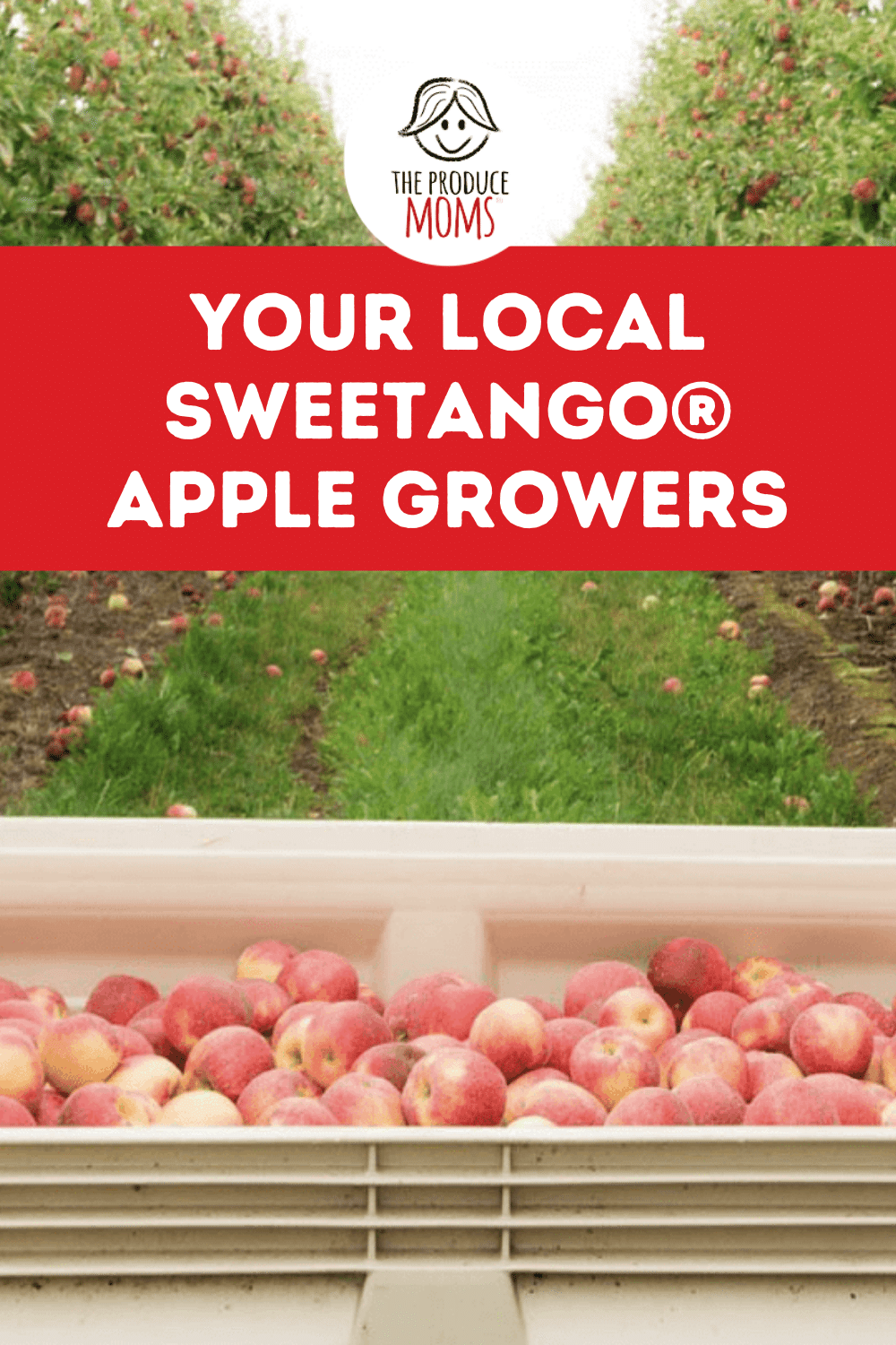 Sweetango Apple Growers Pin