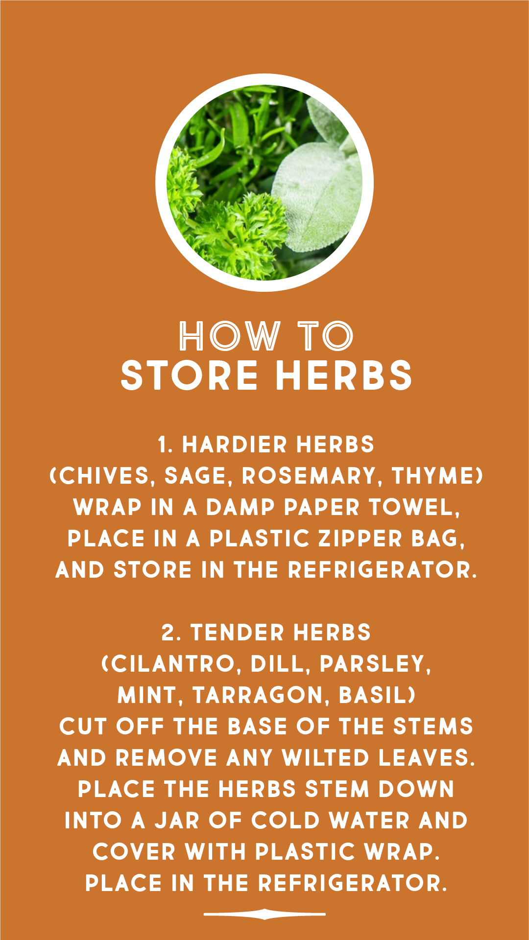 How to store herbs