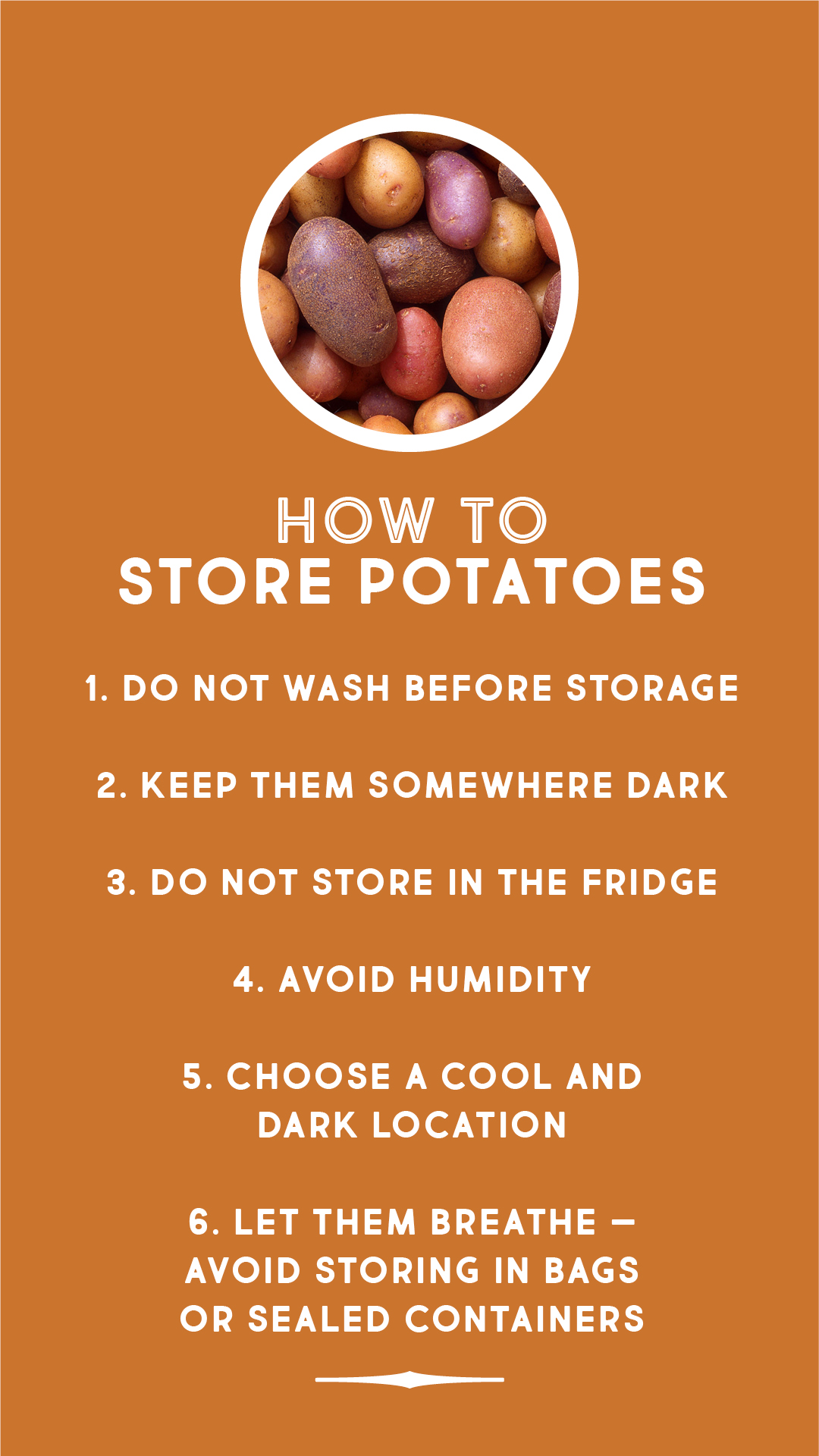 How to store potatoes