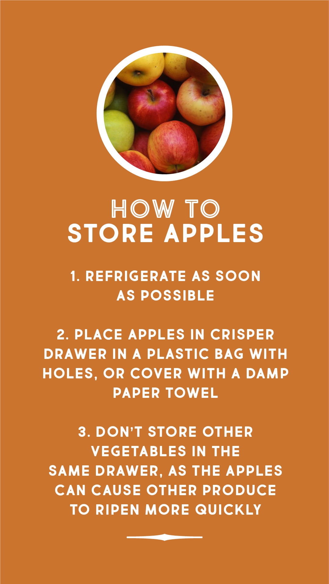How to store apples