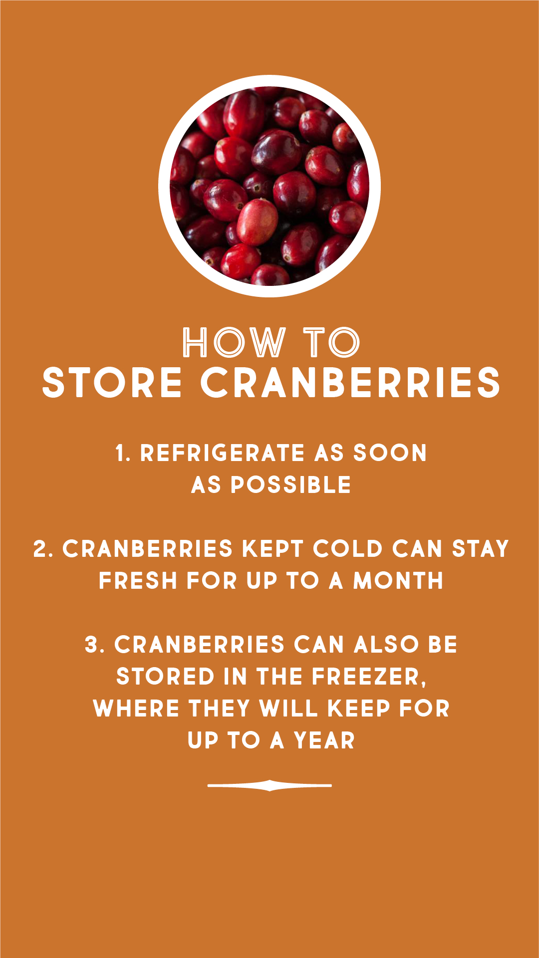 How to store cranberries