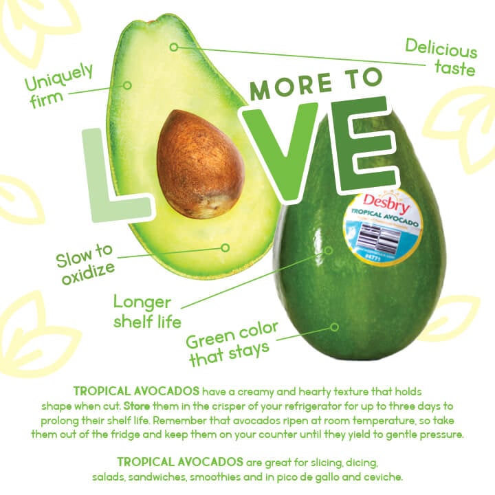 Tropical Avocados Infographic