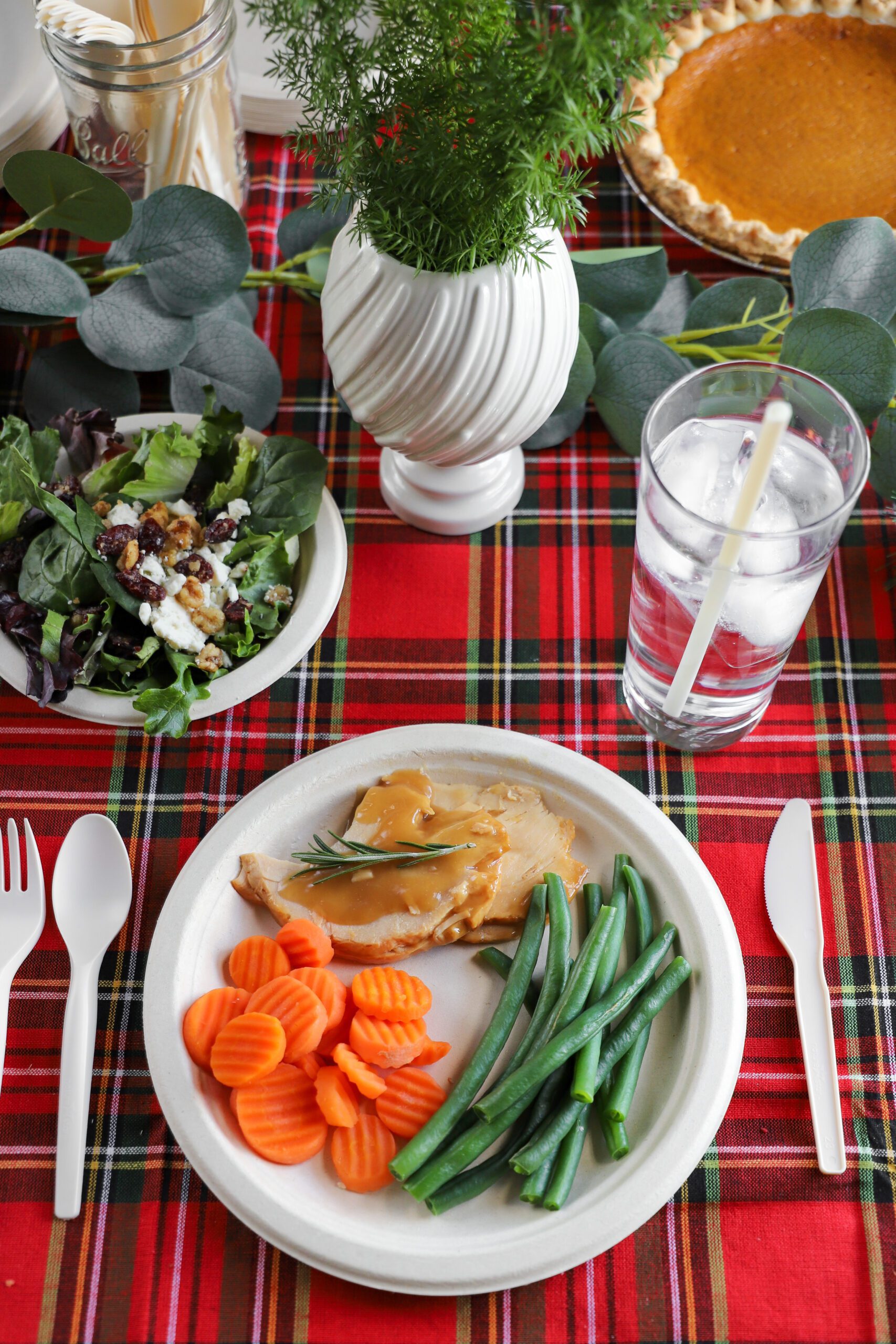 compostable holiday dinnerware 