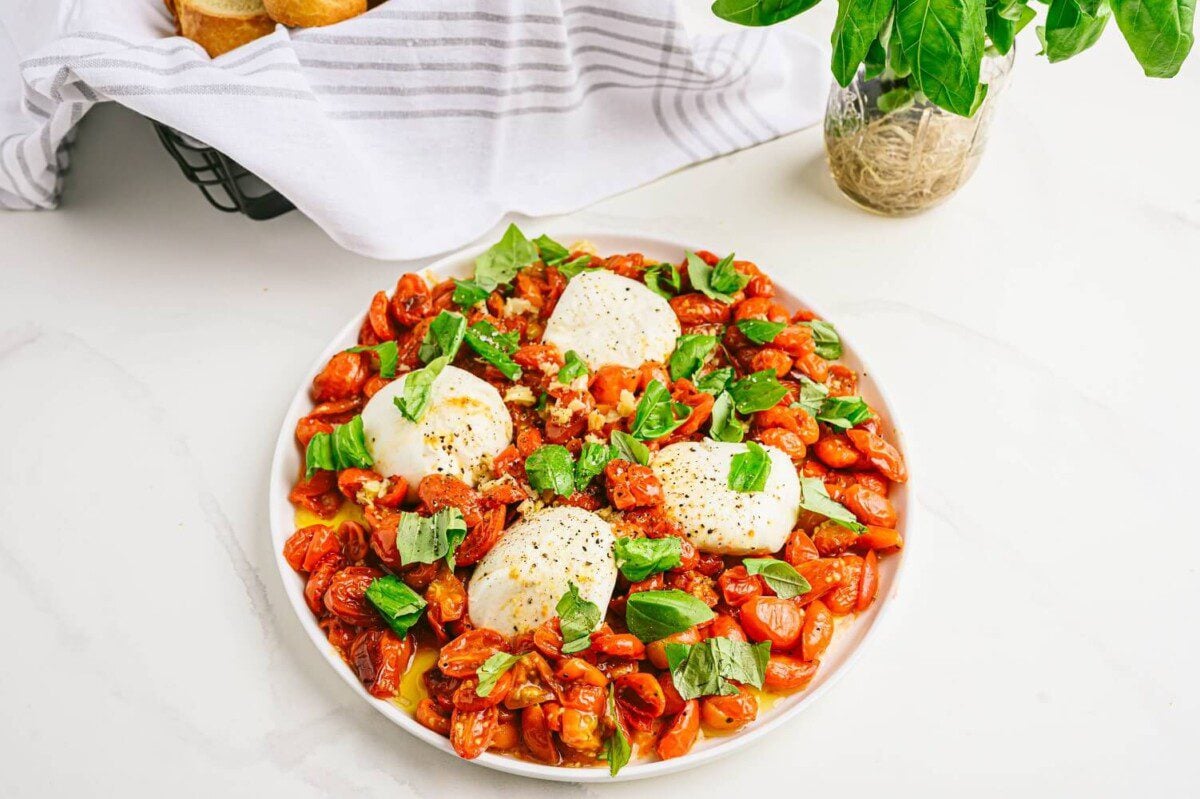 Burrata and Roasted Tomatoes Banner Image