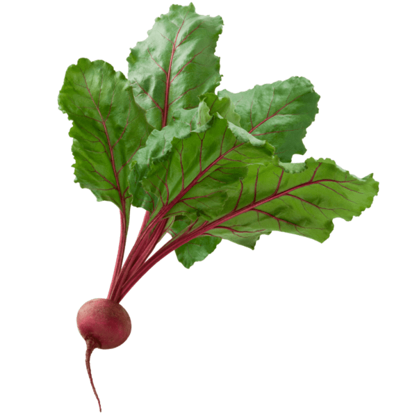 Beets