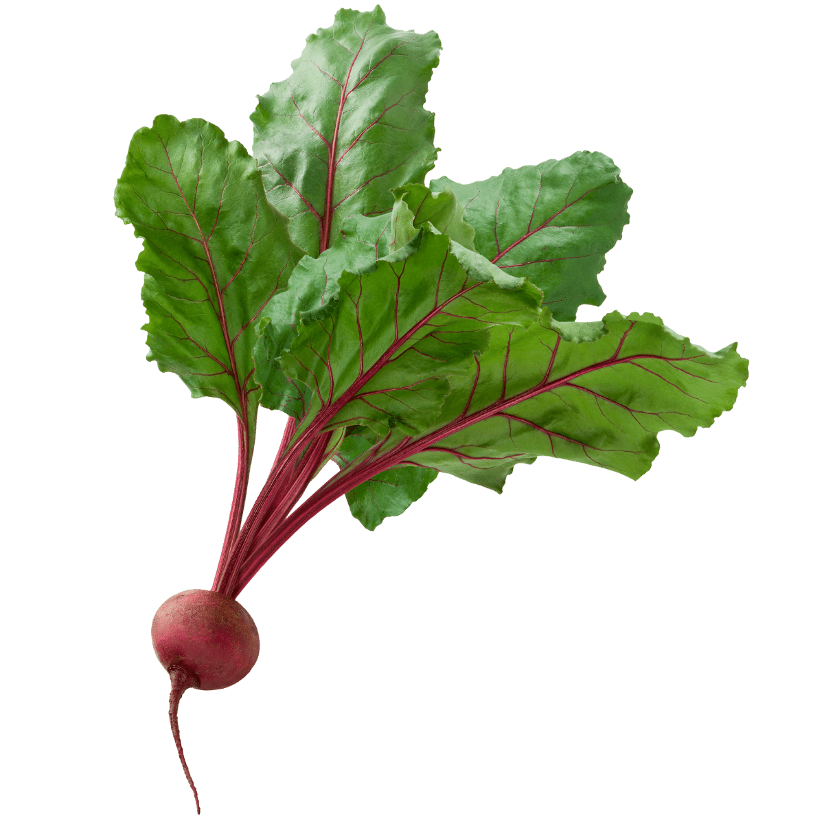 Beets