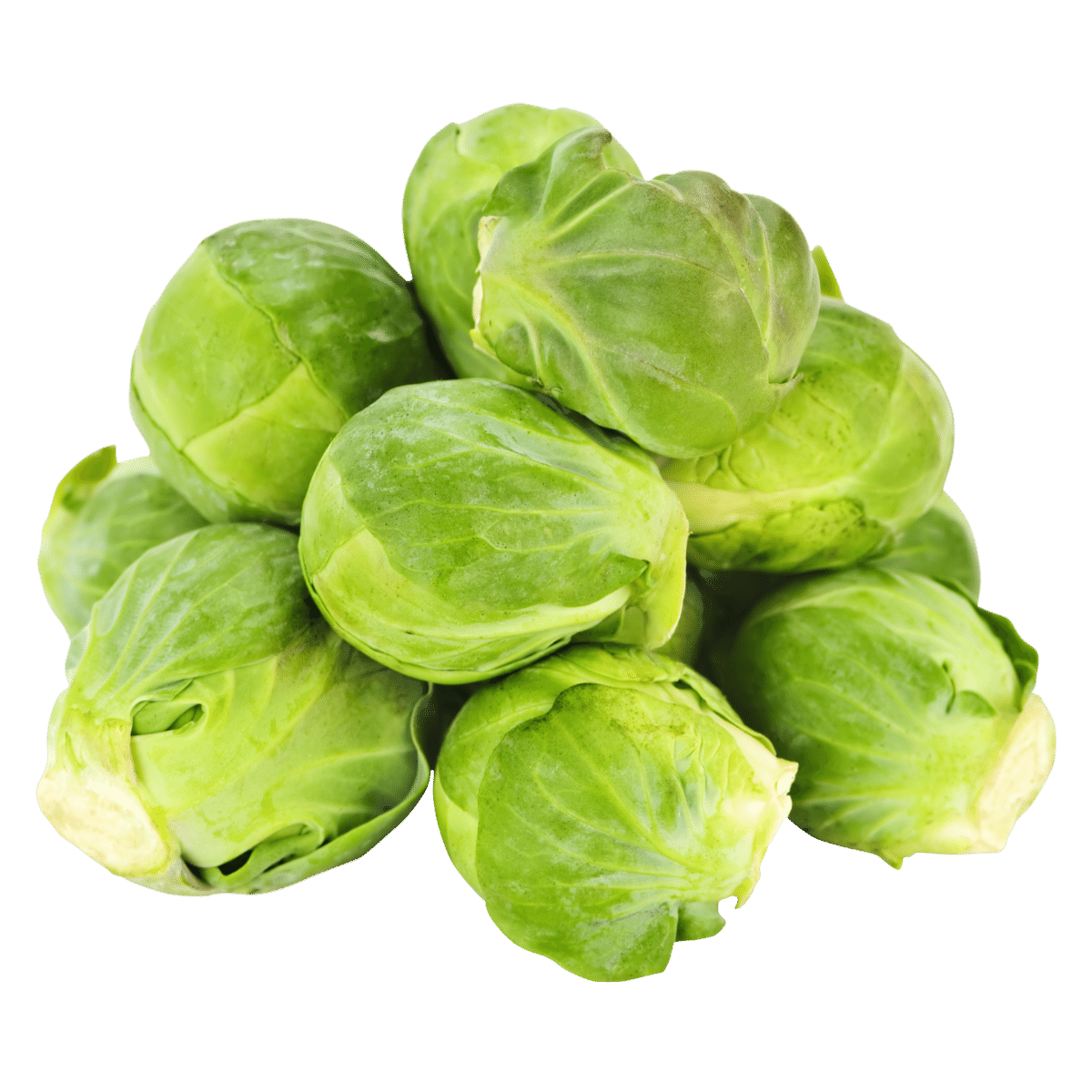 Brussels Sprouts Photo