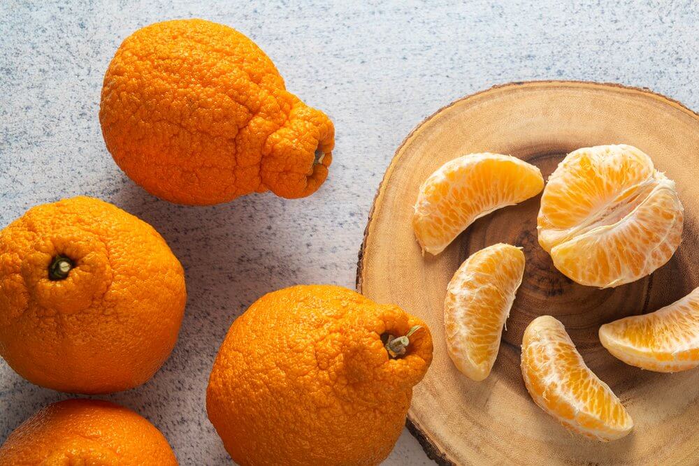 Dekopon Mandarins