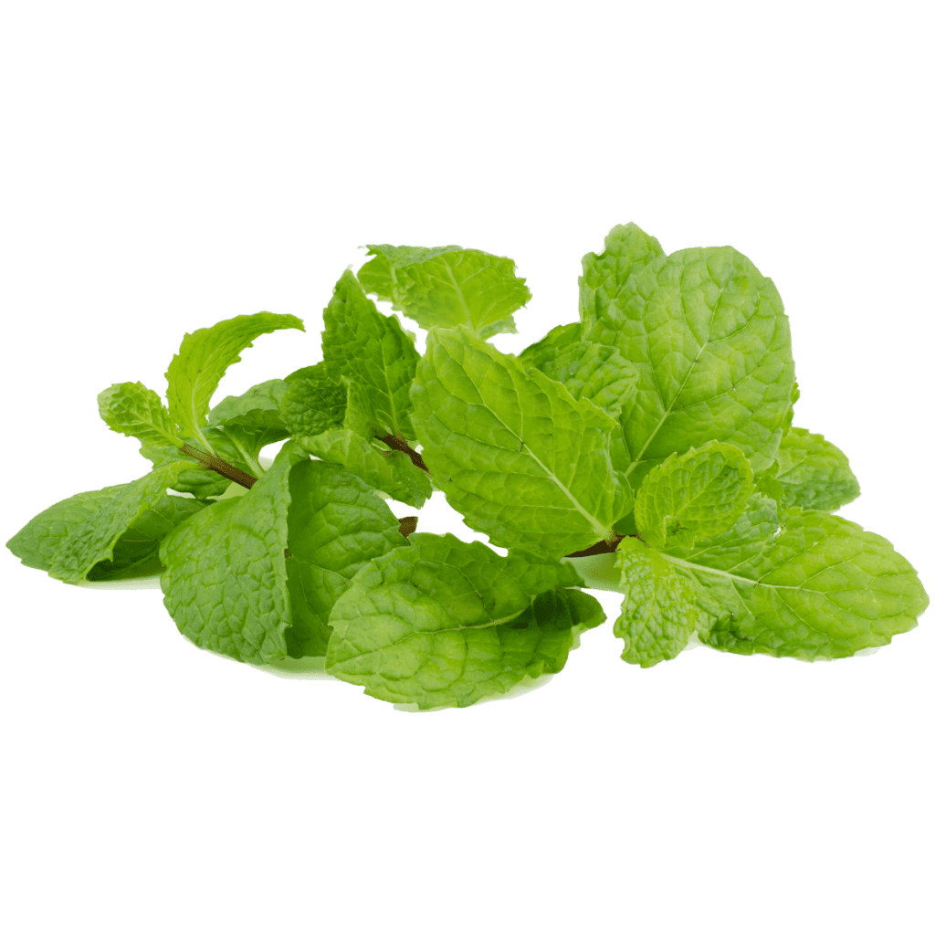 How to Select, Store, and Serve Mint The Produce Moms