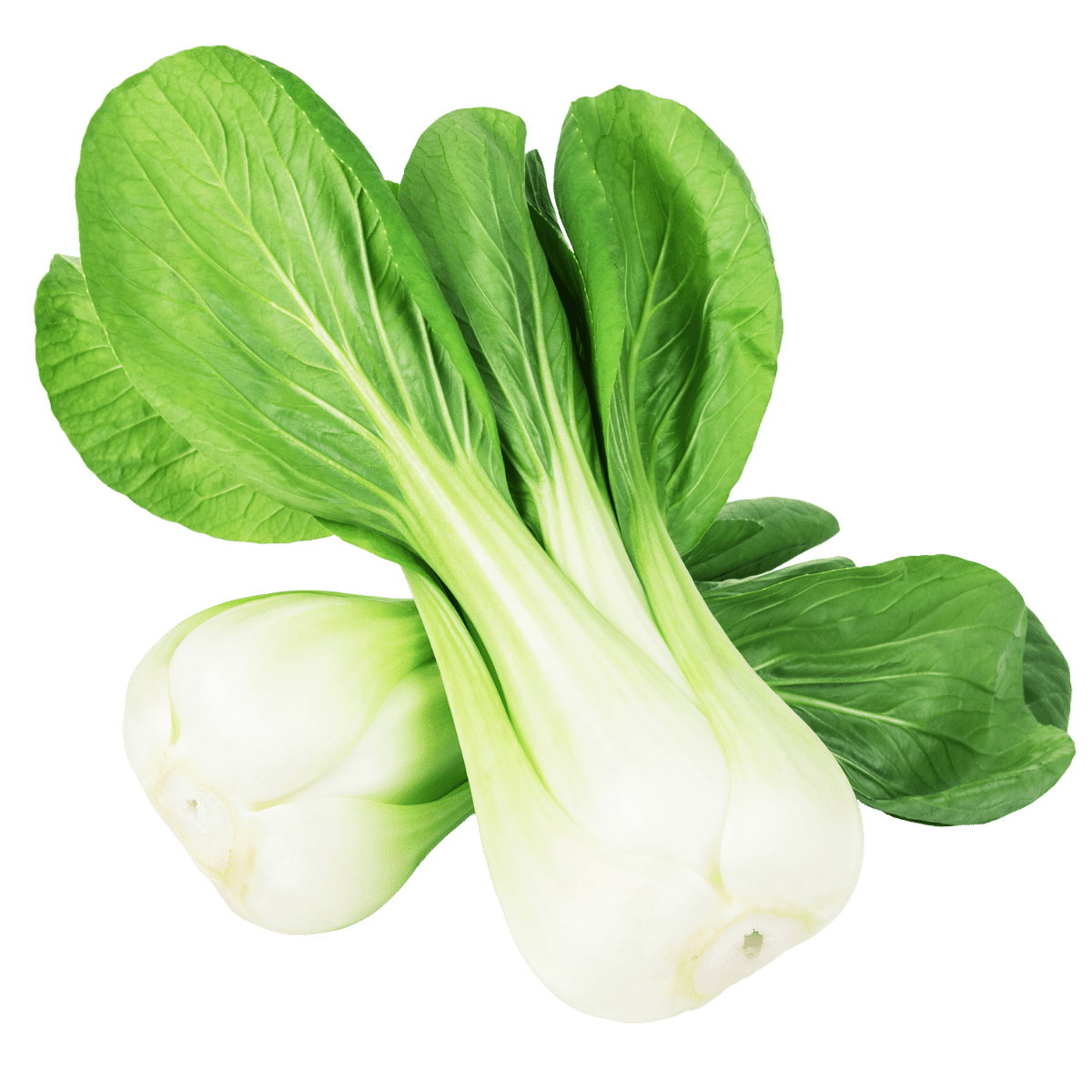 How to Select, Store, and Serve Bok Choy - The Produce Moms