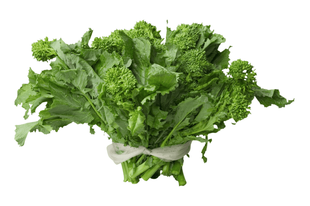 How to Select, Store, and Serve Broccoli Rabe The Produce Moms