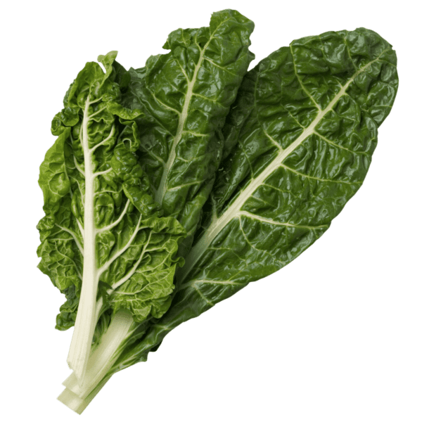 Swiss Chard