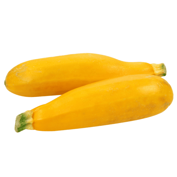 Yellow Squash