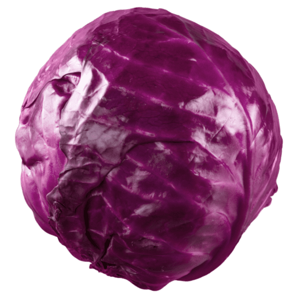 red cabbage