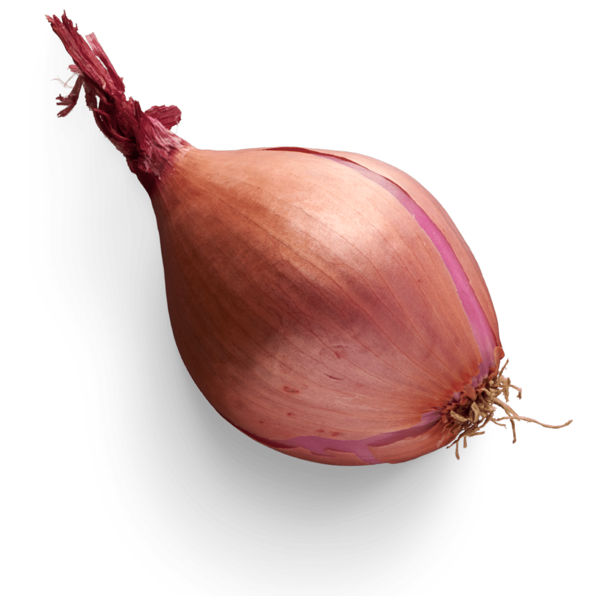 shallots