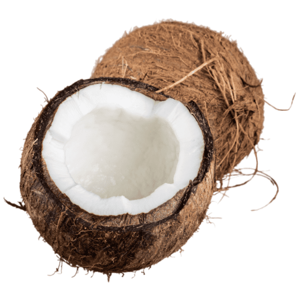 coconut