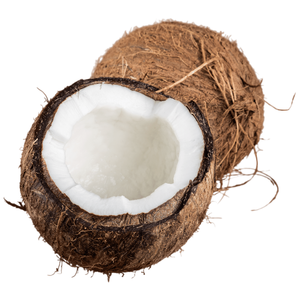 Coconuts Photo