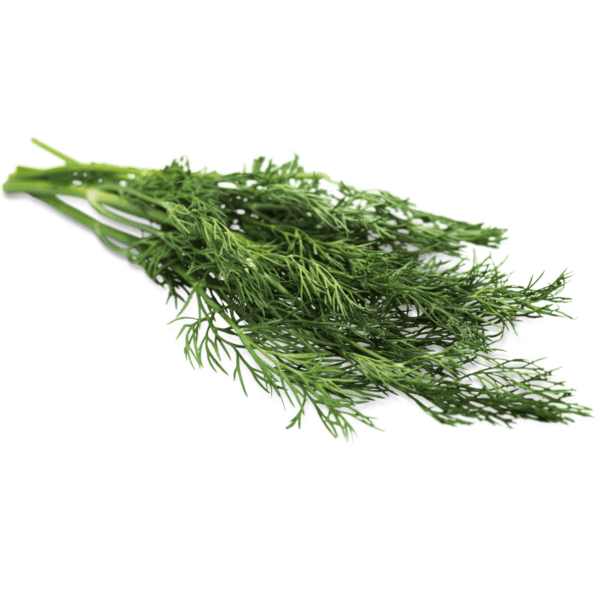 dill