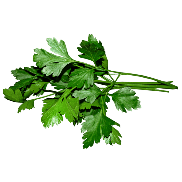 Parsley