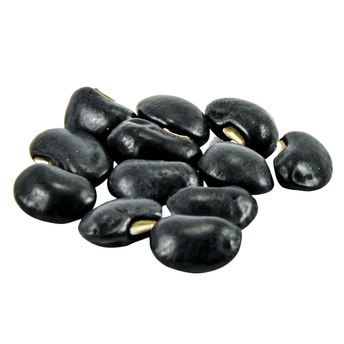 Black Beans Photo