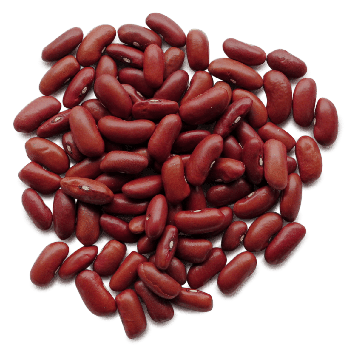 Red Beans Photo